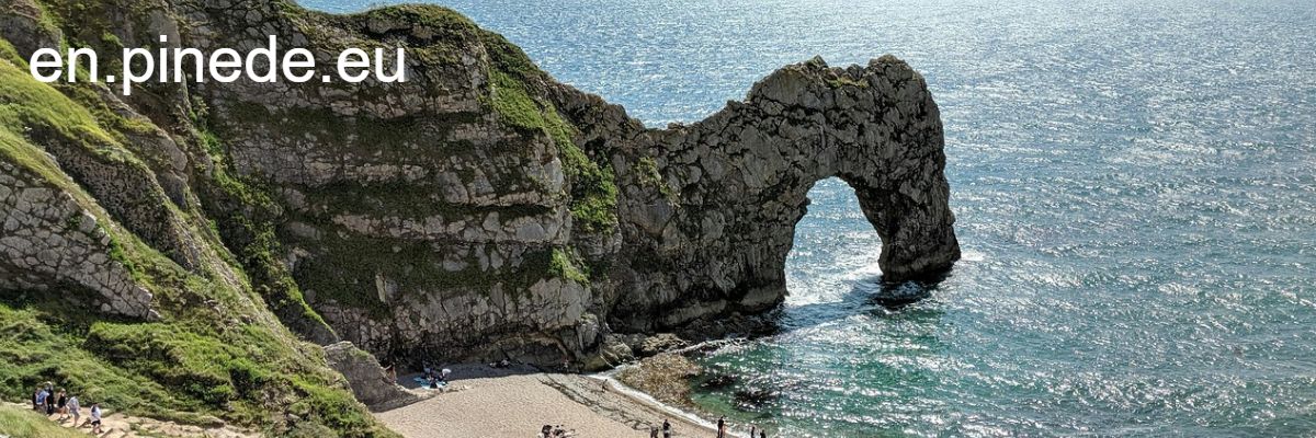 en.pinede.eu